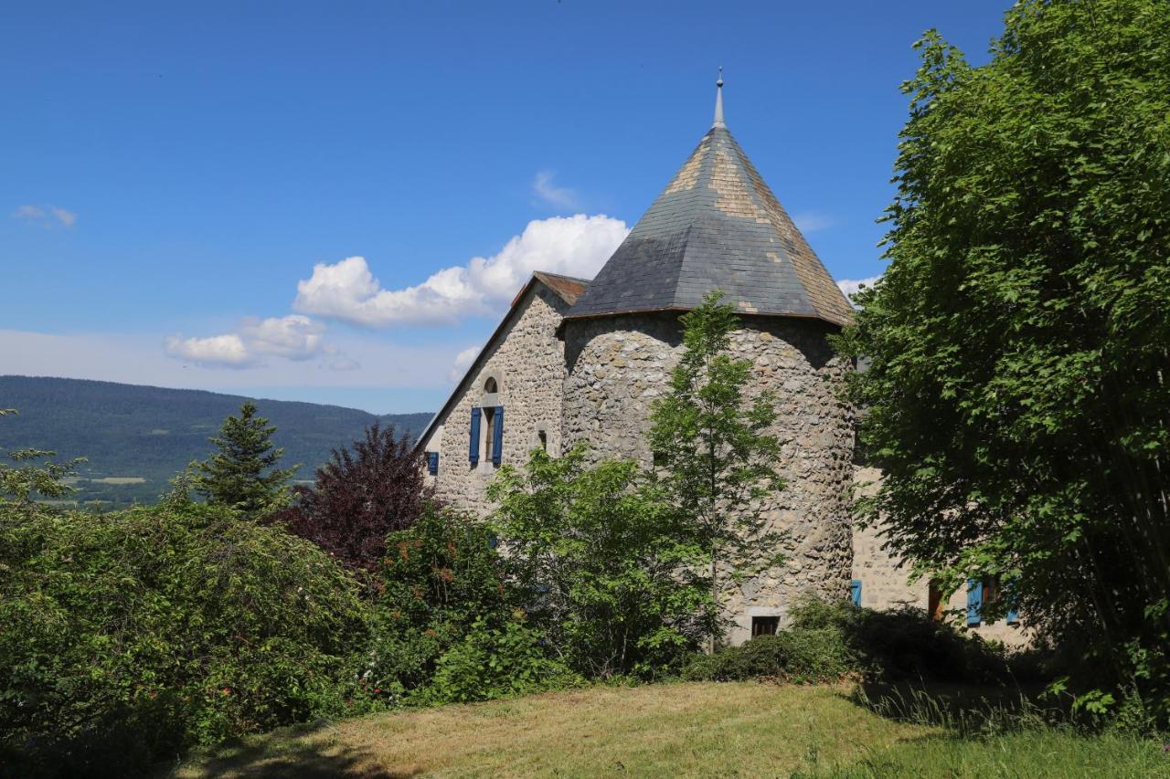 Chateau De Sothonod Eksteriør bilde