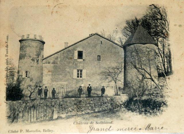 Chateau De Sothonod Eksteriør bilde